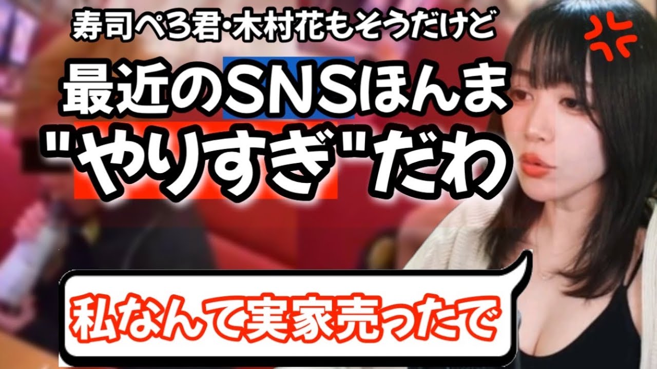 大炎上した張本人が語るSNS誹〇中傷の怖さ,,,寿司ペロ君や木村花さんへの攻撃はやりすぎ！？（たぬかな・切り抜き・炎上・低身長）