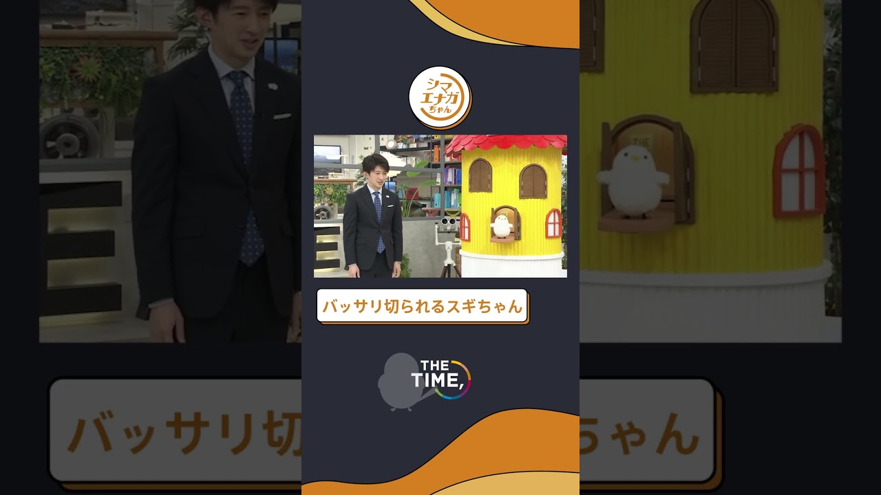 【THE TIME,切り抜き】バッサリ切られるスギちゃん / 2023.2.124放送#thetime_tbs #thetime切り抜き #スギちゃん #杉山真也 #シマエナガちゃん  #shorts