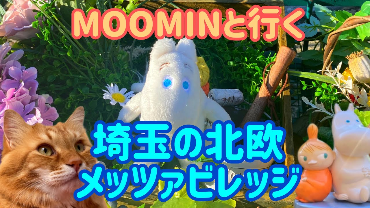 【埼玉 ムーミン】埼玉の北欧,メッツァビレッジにムーミンと行ってきました。ぬい撮り/ムーミンとデート/Finland