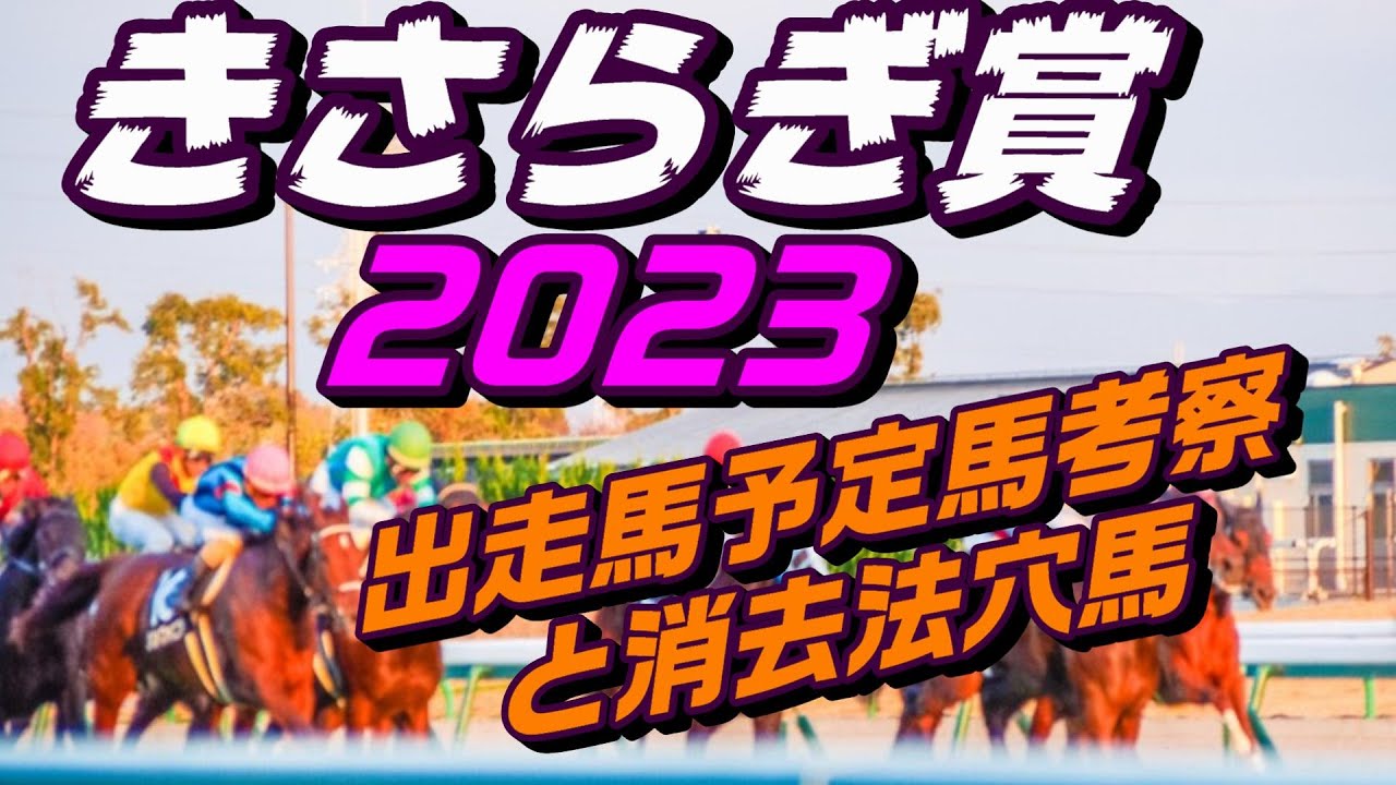 きさらぎ賞2023出走馬予定馬データ分析と消去法予想