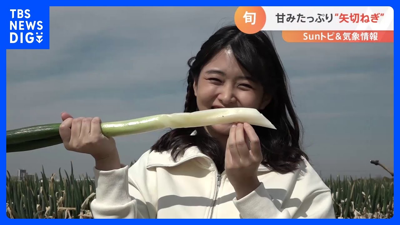糖度は果物並み！？「矢切ねぎ」【SUNトピ】｜TBS NEWS DIG