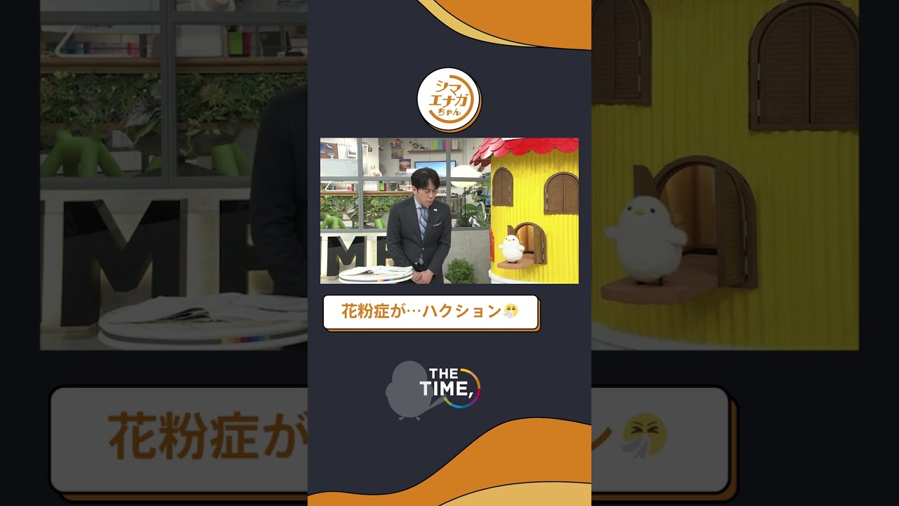 【THE TIME,切り抜き】花粉症が…ハクション / 2023.2.20放送 #thetime_tbs #thetime切り抜き #アズミ #安住紳一郎 #シマエナガ #shorts