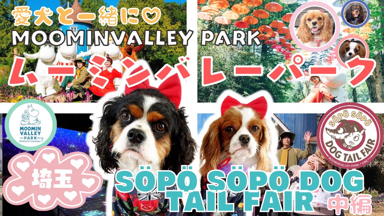 【最新情報】ムーミンバレーパークは埼玉の北欧!!超おすすめ観光スポット【中編】