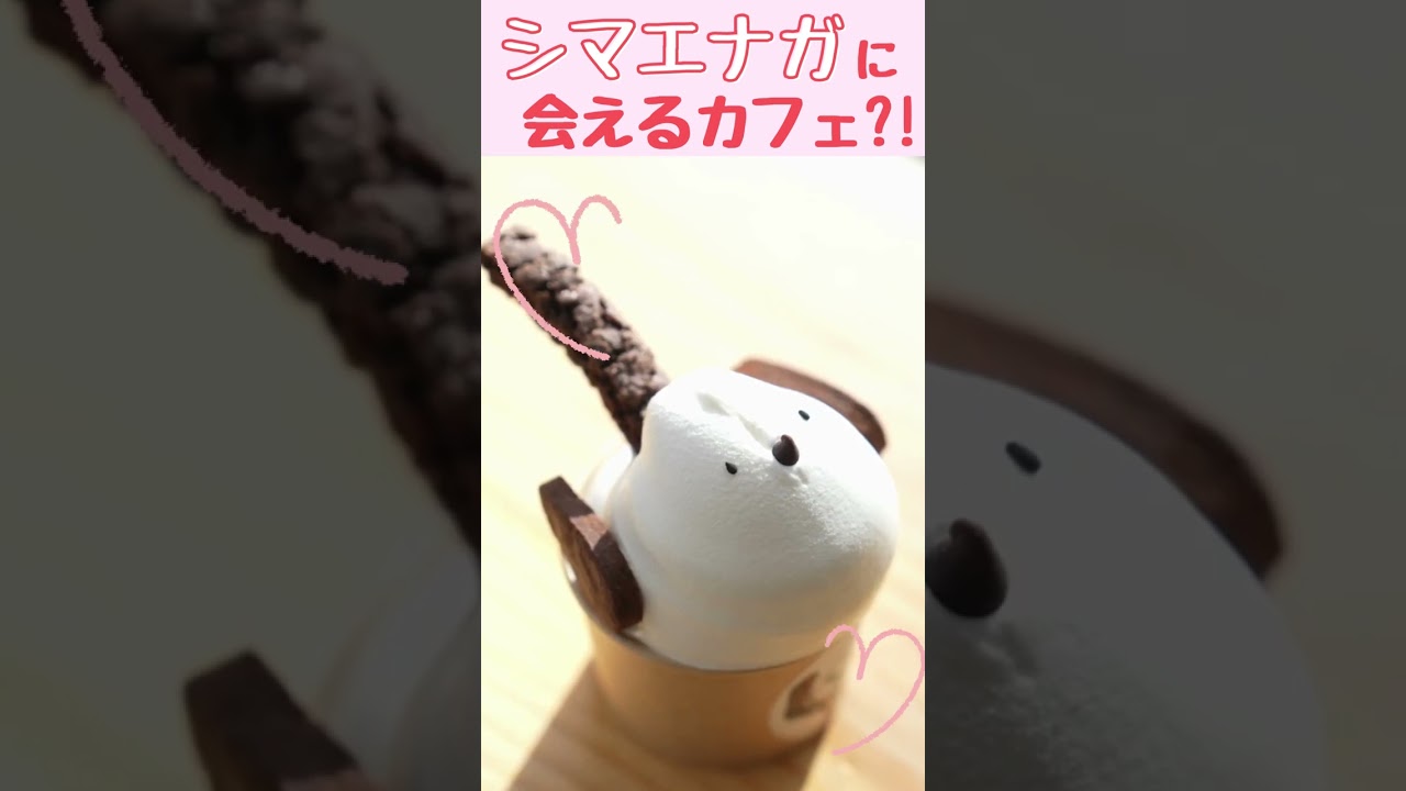 ふわふわ♡シマエナガに会いに行く！【WEBマガジン・Sitakke】 #Shorts