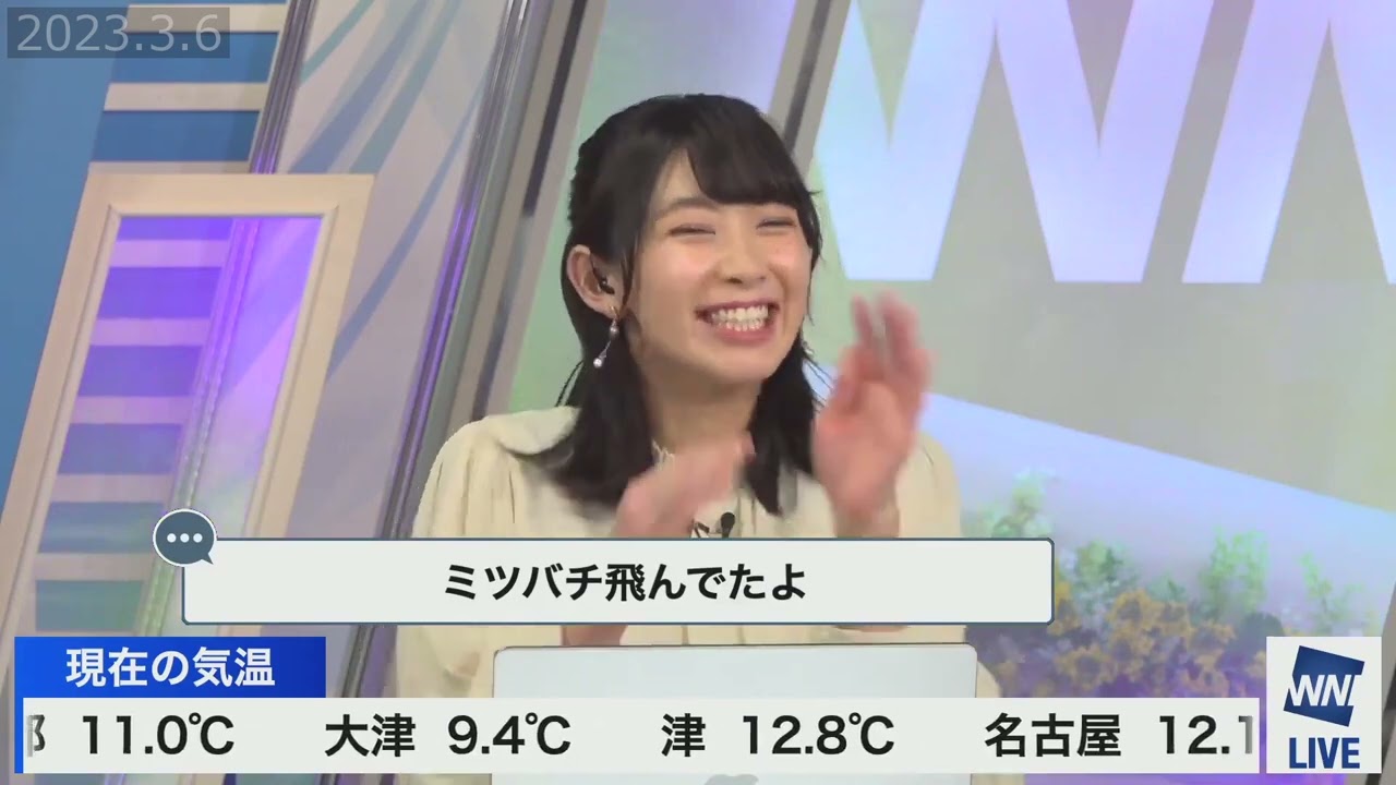 【檜山沙耶】カブトシムシ