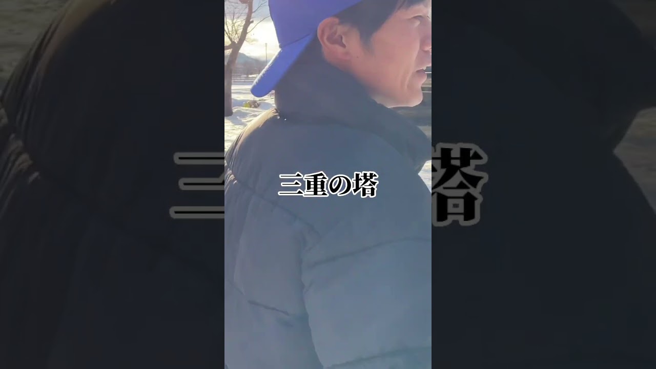 【山形県】高畠町、安久津八幡宮三重の塔 #shorts