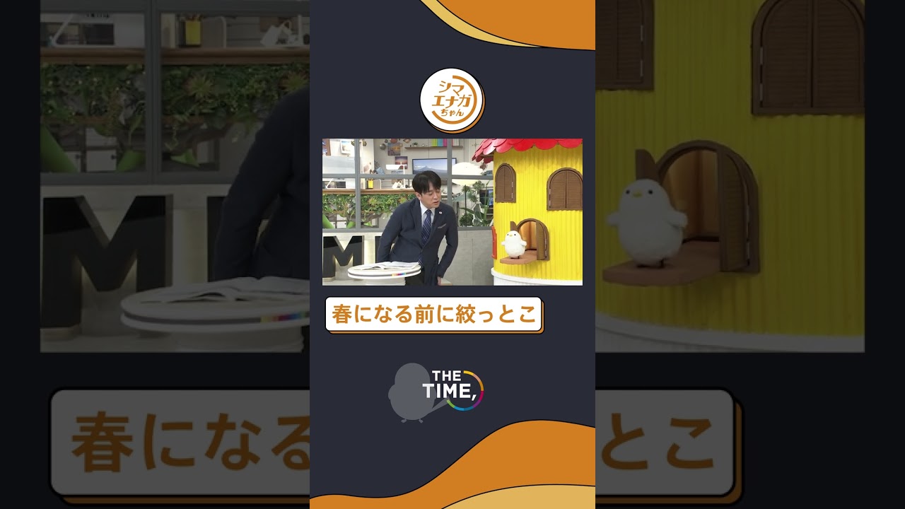 【THE TIME,切り抜き】春になる前に絞っとこ/ 2023.2.27放送 #thetime_tbs #thetime切り抜き #アズミ #安住紳一郎 #シマエナガちゃん  #shorts