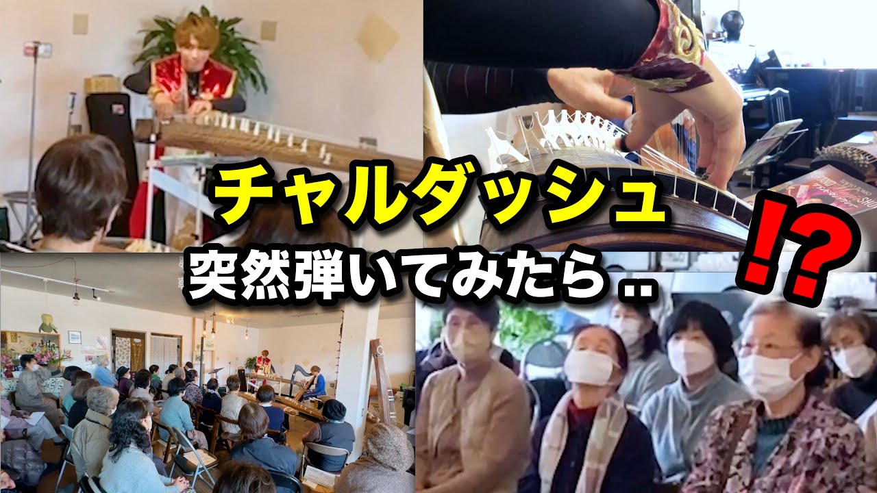 【衝撃】高知県のカフェで、プロ箏奏者が突然『チャルダッシュ』弾いてみたら...!?