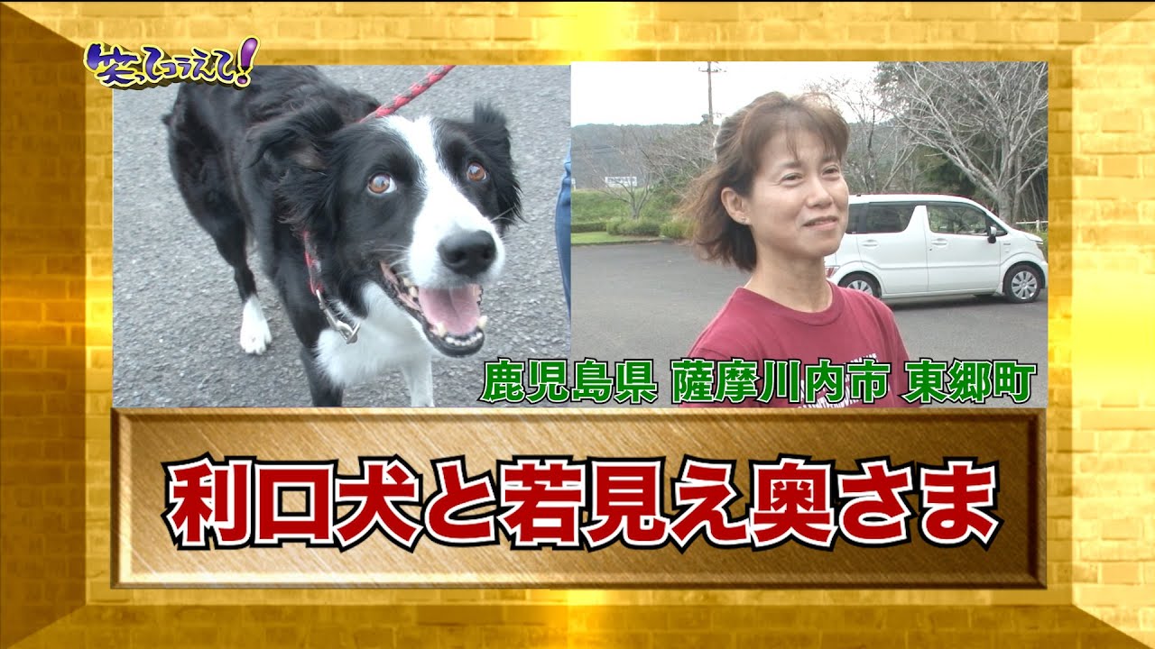 【ダーツの旅笑コラスタッフ厳選】「利口犬と若見え奥さま」鹿児島県東郷町　（現 鹿児島県薩摩川内市東郷町）・傑作インタビュー⑤