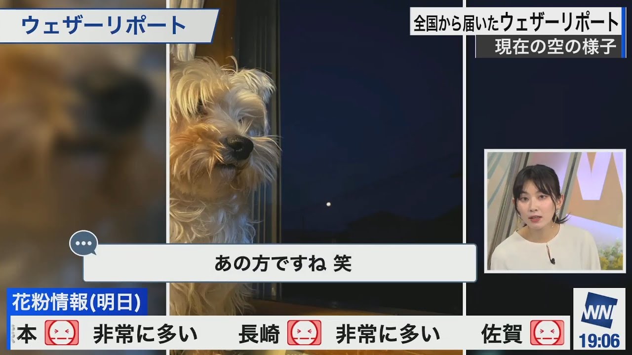 【檜山沙耶】出雲市の黄昏ワンちゃん