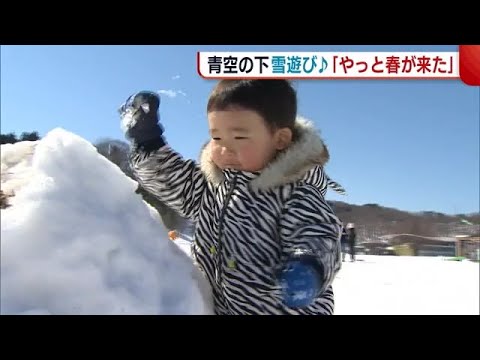 雪国にも…「やっと春が来た」気温は４月上旬並みに！ 公園では青空のもと雪遊び♪【新潟・長岡市】 (23/02/28 18:39)