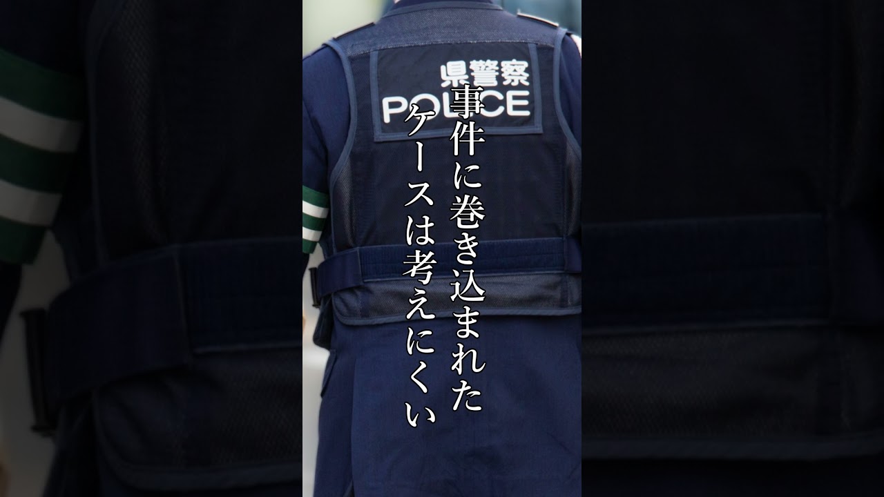 【徳島県男児行方不明事件】誘拐？神隠し？約２０秒の間に消えた息子【未解決事件】 #shorts