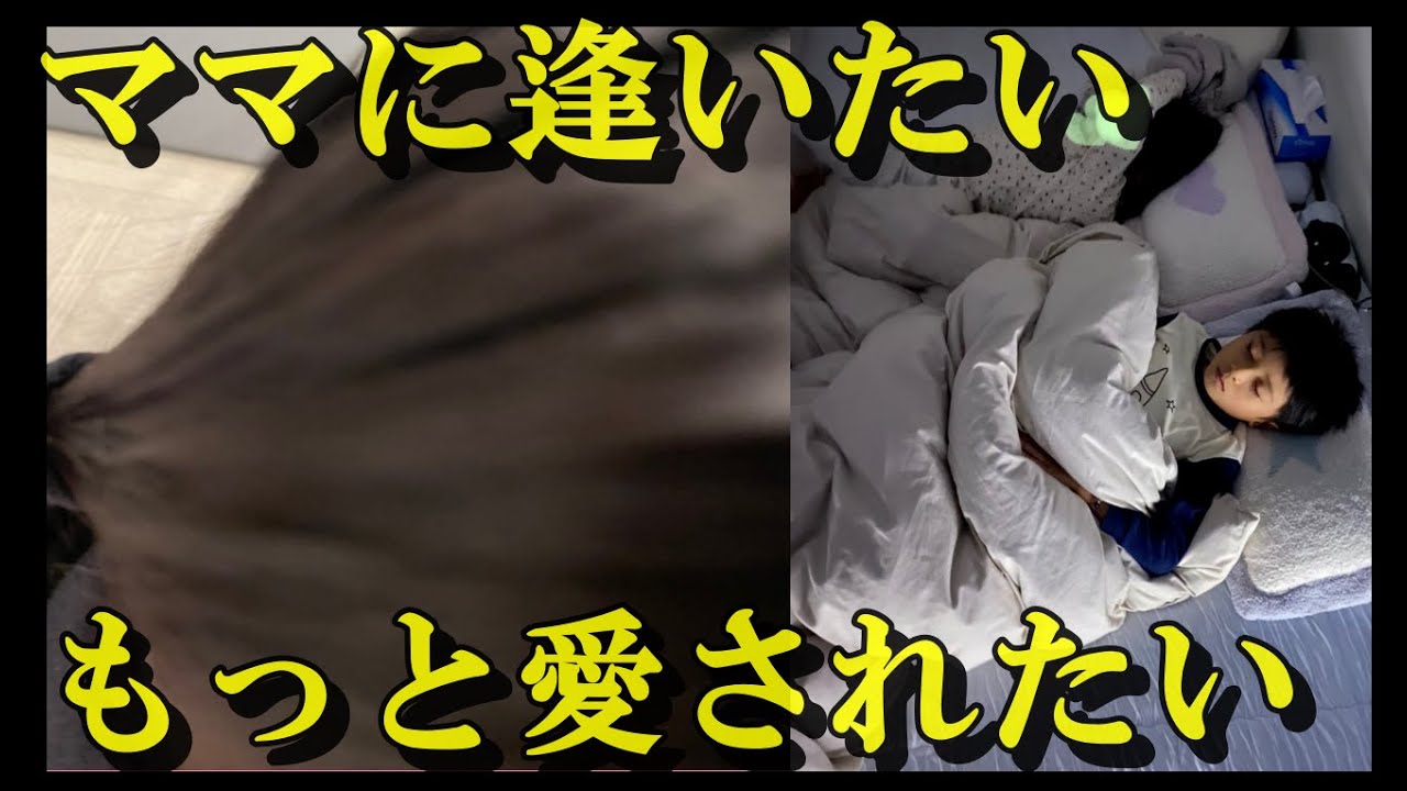 【感動】堀越麗禾ちゃん市川團十郎さんに甘えたい！天国の麻央さんもほっこり見守る。