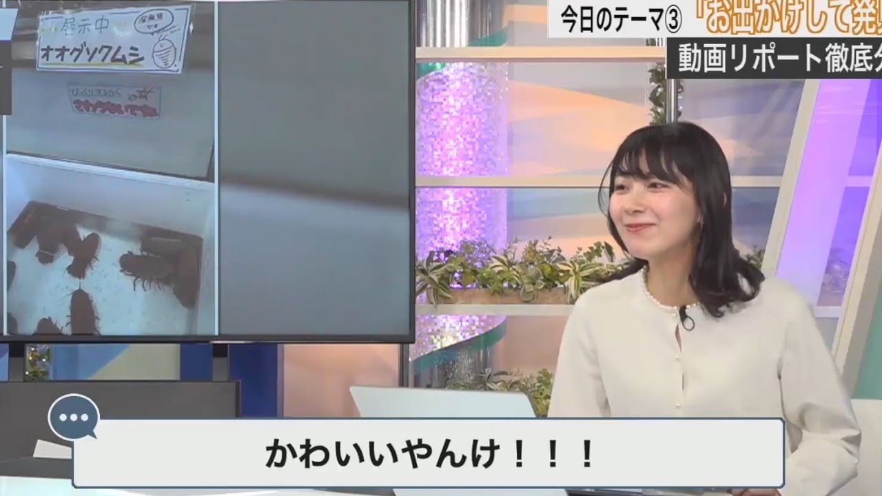 【檜山沙耶】オオグソクムシ