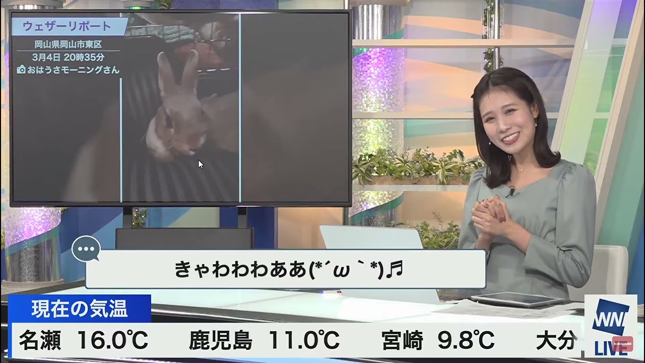 ココちゃん＆神楽さんです。2023年3月4日土 〈ウェザーニュースLiVE〉   YouTube   Google Ch　動画採用分