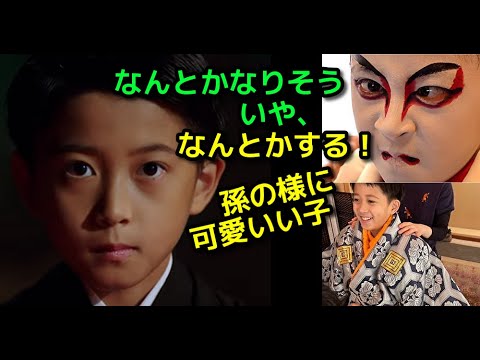 【市川團十郎白猿】市川新之助こと堀越勸玄。なんとかなりそう。何とかするよ！
