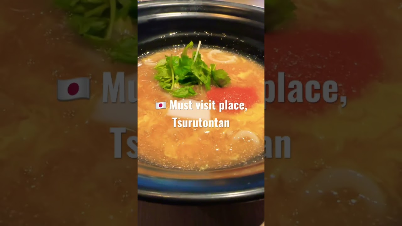 🇯🇵つるとんたん代表メニュー明太餡かけ卵とじのおうどん #shorts #つるとんたん