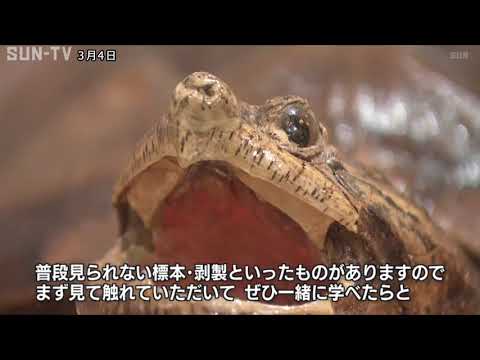 神戸市内の生態系を楽しく学ぶ 「外来生物展示センター」がリニューアル