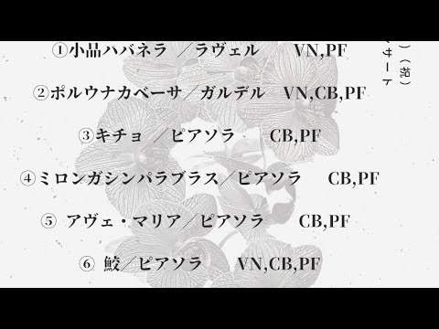2023年2月11日 Tango trio