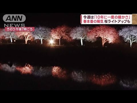 桜も一気に開花　“10年に一度の高温”春本番の陽気　夜空に満月も(2023年3月7日)