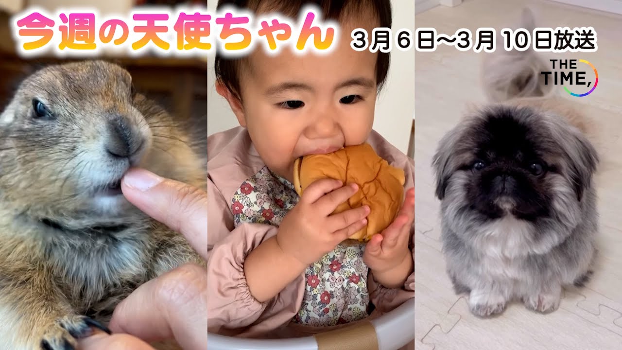 【THE TIME,まとめ】今週の天使ちゃん / 2023年6月27日〜3月10日放送