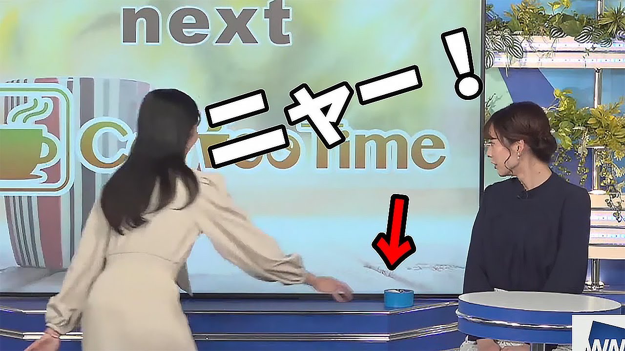 【大島璃音】ごめん！ちょっと待って💦焦ると猫になるお天気お姉さん