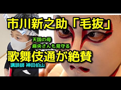 【市川團十郎白猿】天国の母・麻央さんも見守る「八代目市川新之助襲名披露公演」を歌舞伎通、神田伯山絶賛 今、歌舞伎界でいちばんやる気があるイメージは9歳で『シティーハンターの冴羽リョウ』