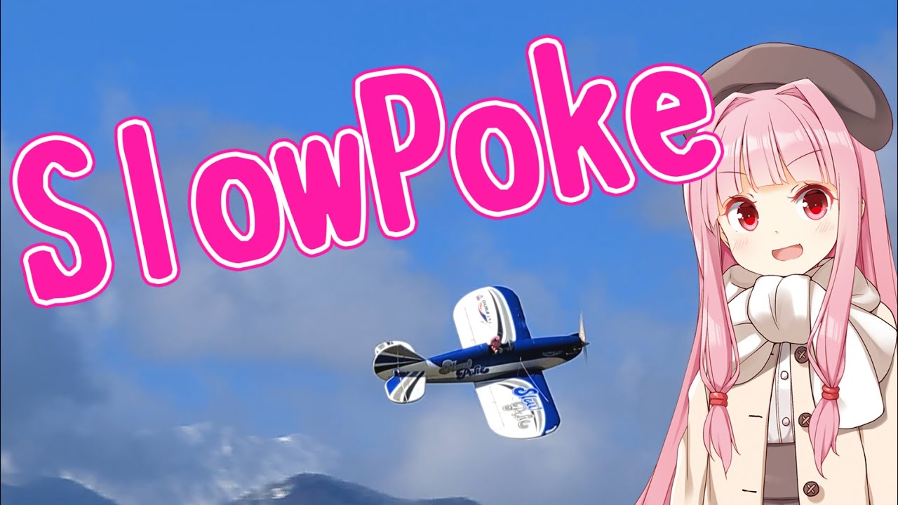 HobbyKing SlowPoke ラジコン飛行機