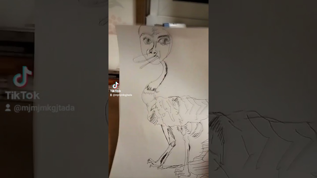 竹俣紅アナさんのイラストダチョウ
