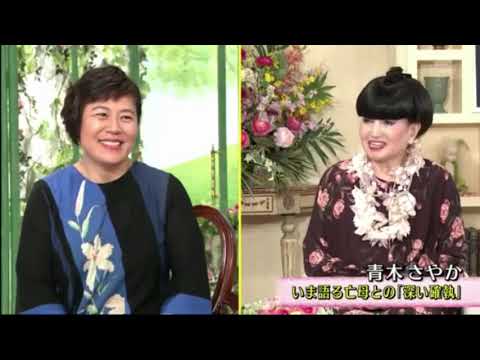 徹子の部屋  青木さやか
