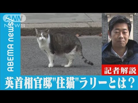 【解説】就任12年　英首相官邸の“ネズミ捕獲長”ラリーとは？【ABEMA NEWS】(2023年2月15日)