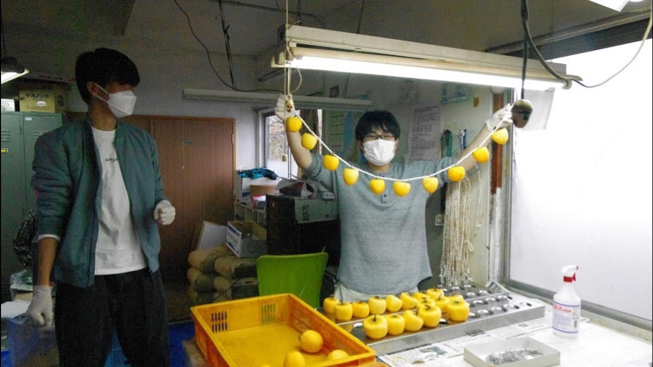 東海大学スチューデントアチーブメントセンター3.11生活復興支援プロジェクト×伊達市富成地区