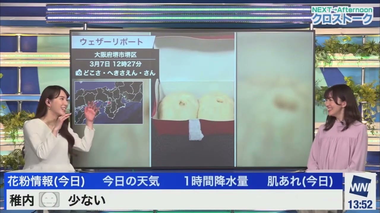 [江川清音×白井ゆかり]昨年4月以来のクロストークとなったさーやんさんとゆかりんさん