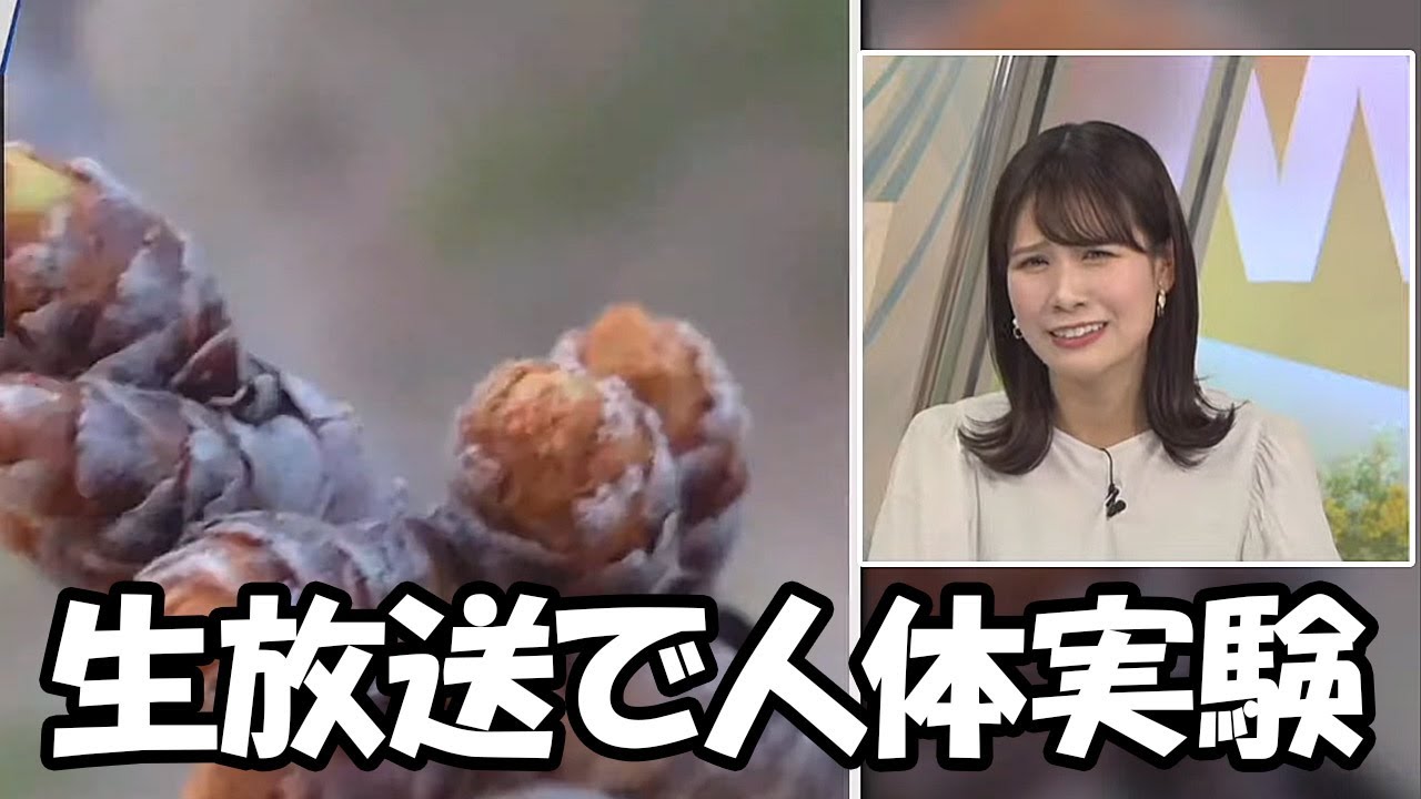 【戸北美月】こってりぽーとや突撃みんなの晩ご飯コーナーが来る前にお腹が空くと言うパブロフの犬状態のお天気お姉さん