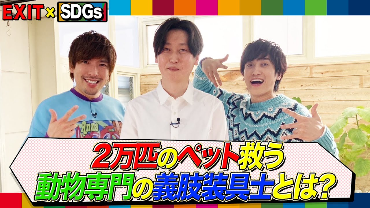 【EXIT】日本で1人！動物専門の義肢装具士・島田旭緒さんを取材【めざまし８】