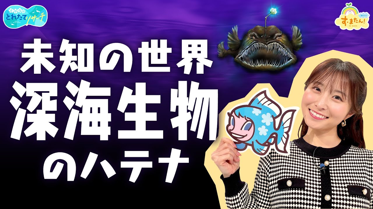 深海生物のハテナ～ここがスゴイぞ！深海魚～／とれたてリサーチ