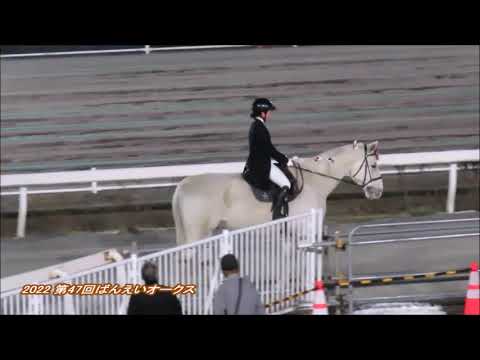 ダイヤカツヒメ号　嬉しい重賞初制覇！！　「第47回ばんえいオークス」（BG1）