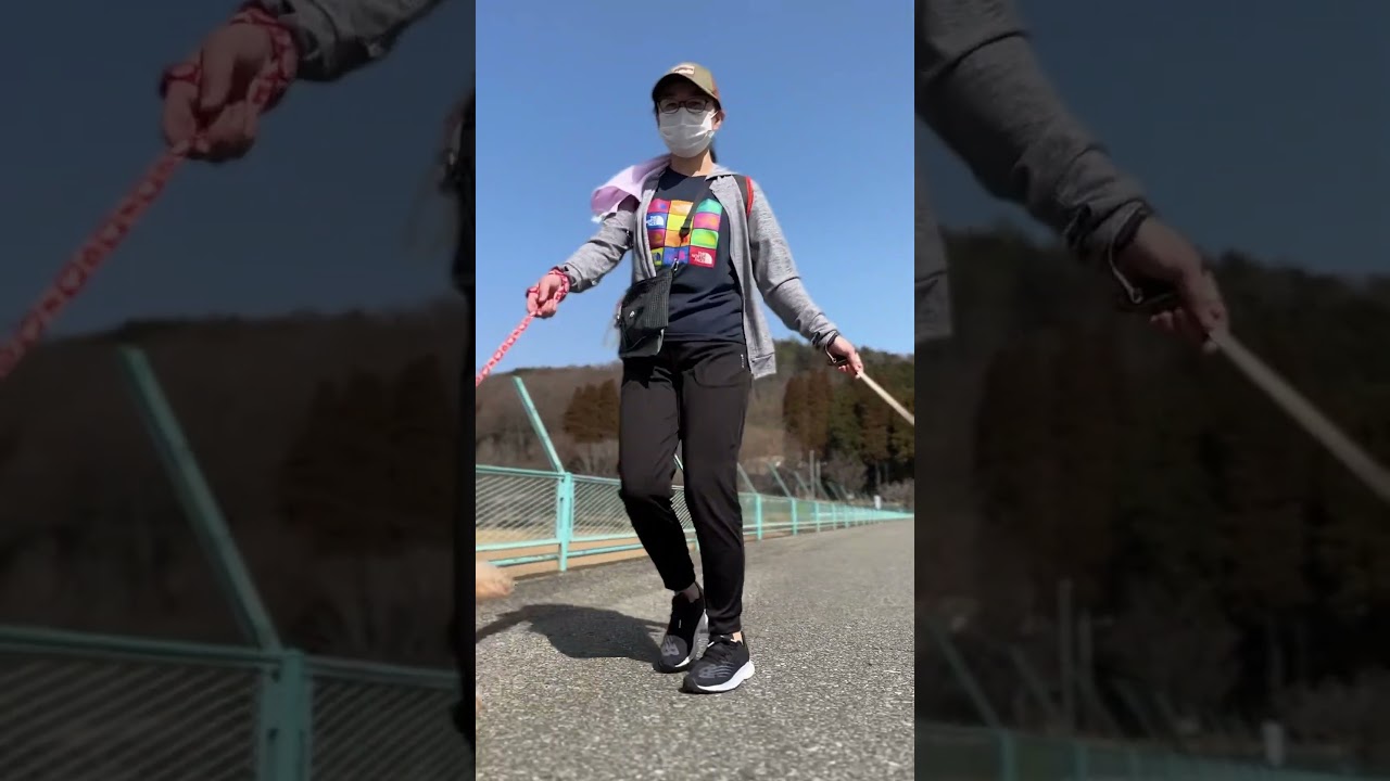 お散歩大好きトイプー兄妹 #宇都宮森林公園 #古賀志山 #shorts