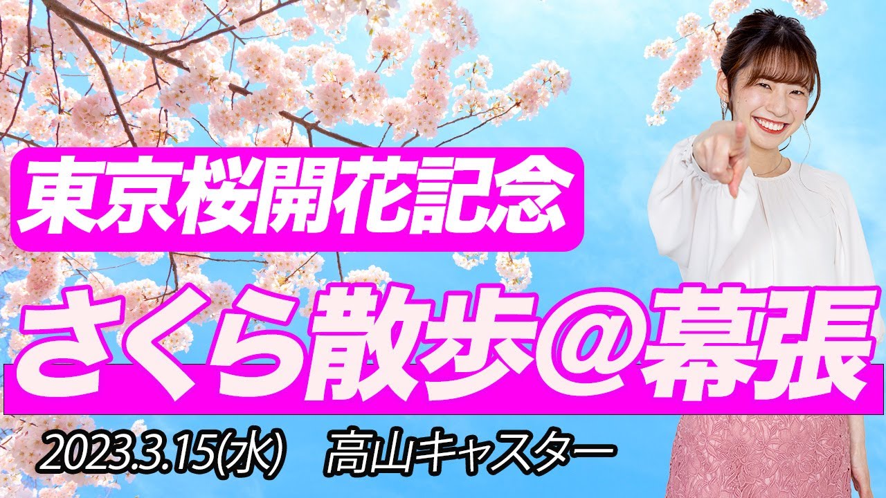 東京桜開花記念！！さくら散歩＠幕張/2023.3.15(水) ウェザーニュースキャスター　高山奈々