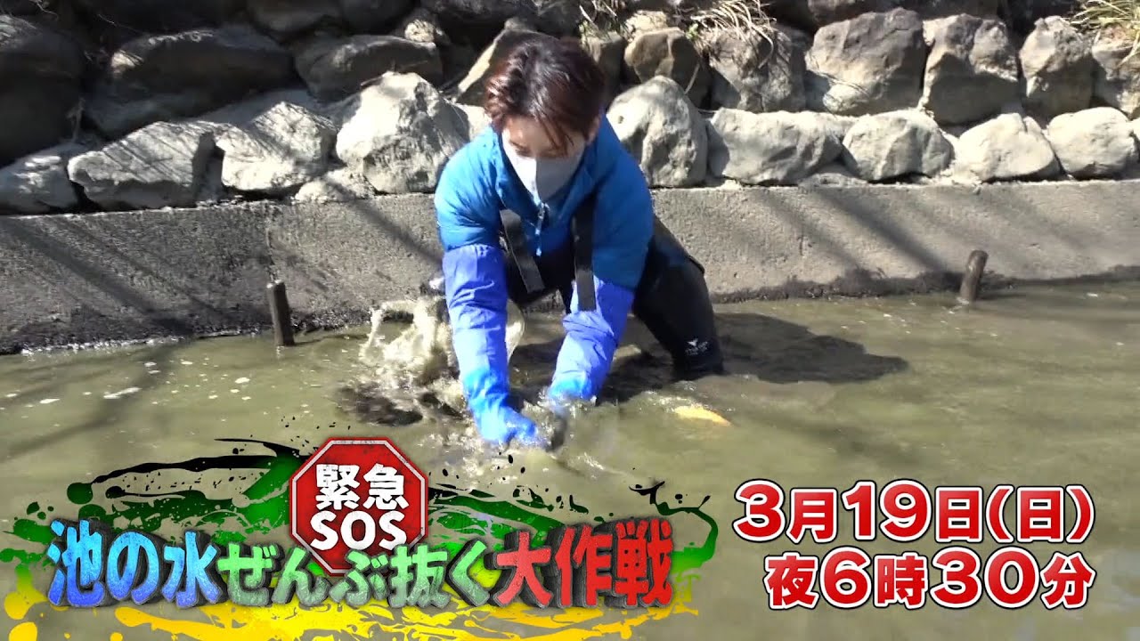 【予告】緊急ＳＯＳ！池の水ぜんぶ抜く大作戦