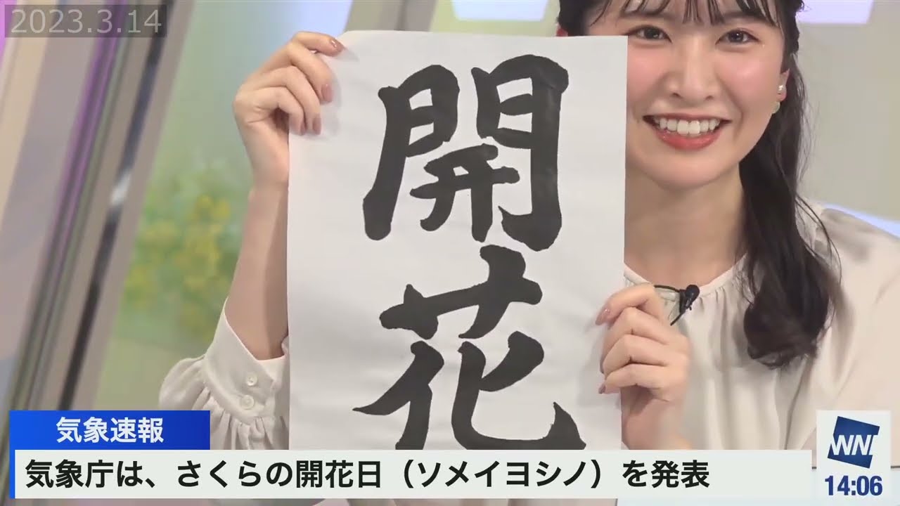 【駒木結衣】桜開花宣言