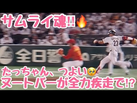 【WBC】"サムライ魂"ヌートバーが全力疾走でチャンスを掴む‼︎たっちゃんさすが‼︎ 侍ジャパン日本対中国　東京ドーム
