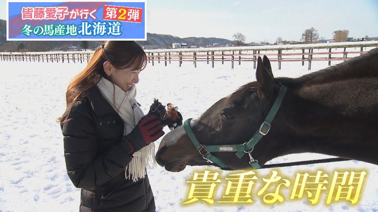 皆藤愛子が行く　冬の馬産地北海道Vol.２（2023年3月11日放送分）