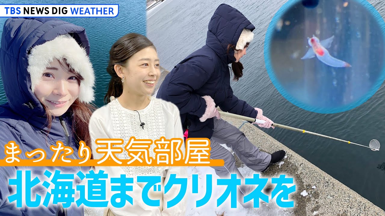 【お天気ライブ】東京の桜開花！お花見中継 /北海道のクリオネとご当地ヒーロー “ゆるっと”トーク【まったり天気部屋】（2023年3月17日）| TBS NEWS DIG
