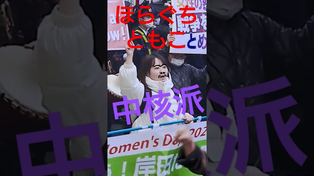 #ほらぐちともこ #中核派 #杉並区議員#七変化 #私かわいい
