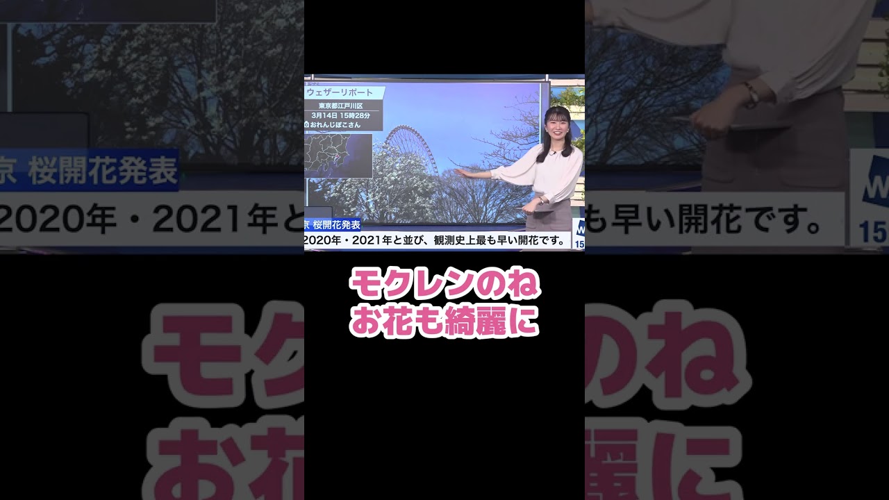 【駒木結衣】「チッチ勢」を召喚しそうになるお天気お姉さん【ホワイトデー】【ウェザーニュース切り抜き】#Shorts
