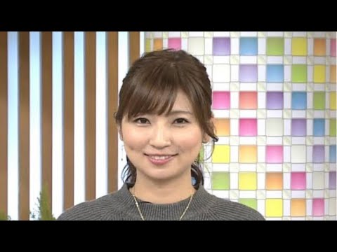 こういう美人キャスター好き(若い頃の日テレ畑下由佳アナ)