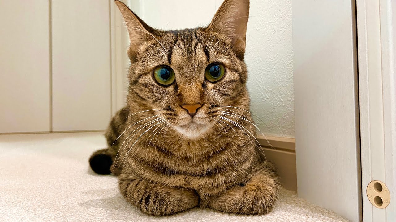 お久しぶりです！