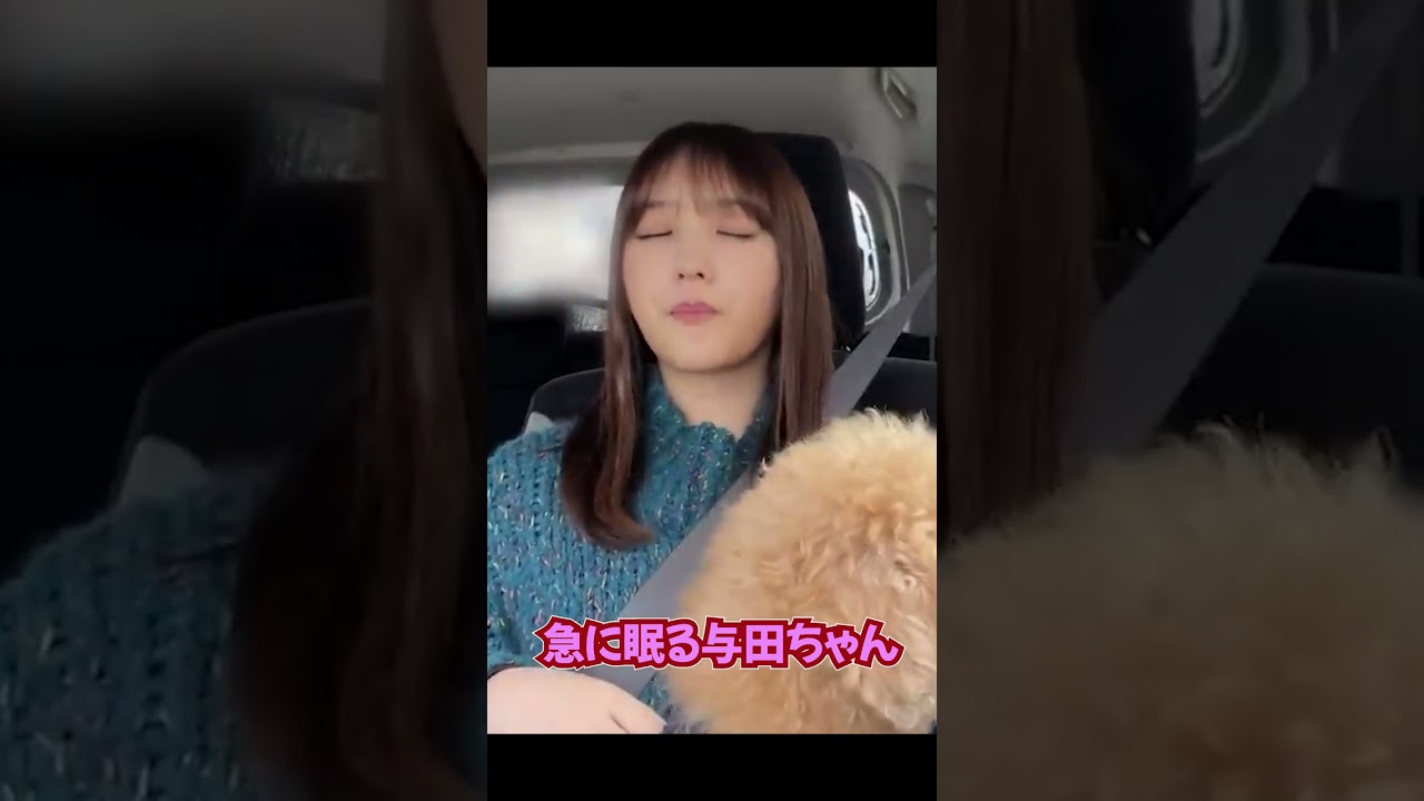 突然眠る与田ちゃん　#shorts #乃木坂46 #与田祐希