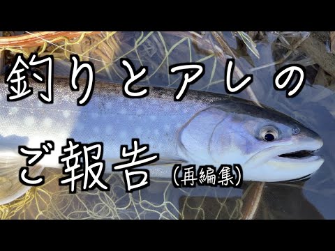 【釣りと帰国のご報告（再編集）】【2023年3月9日、初春の河川でアメマスが出ました！】【釣りバカ親子の釣行記】